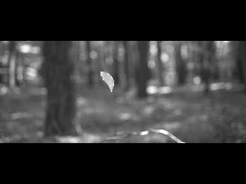 Max Freytag - Picasso Fish Island (Official Video)