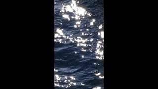 Experience the art of watchmaking at the AP Lab Geneva