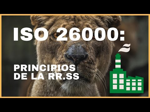 Video: Principios De Responsabilidad Social Empresarial