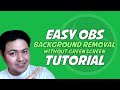 3 Easy steps on how to remove background without green screen