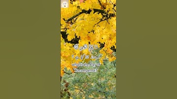 Surah Al Infitar (82) Verse 13-19 Mahir Al Moaqaly ماهر المعيقلي سورة الانفطار Urdu/English #islam