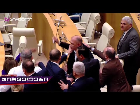 ოცნების სავარაუდოდ მთვრალმა დეპუტატმა ანი წითლიძეს მიკროფონით ცემა დაუპირა