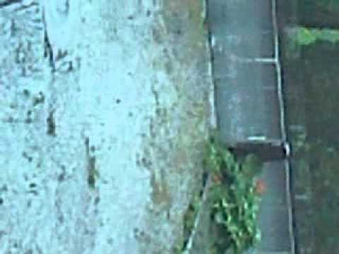 bezi kiso s prozora