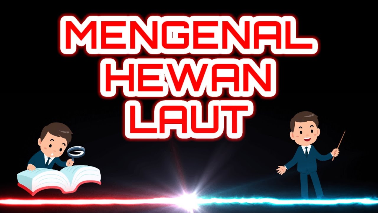 EDUKASI ANAK Mengenal Hewan  Yang Hidup di Laut  YouTube