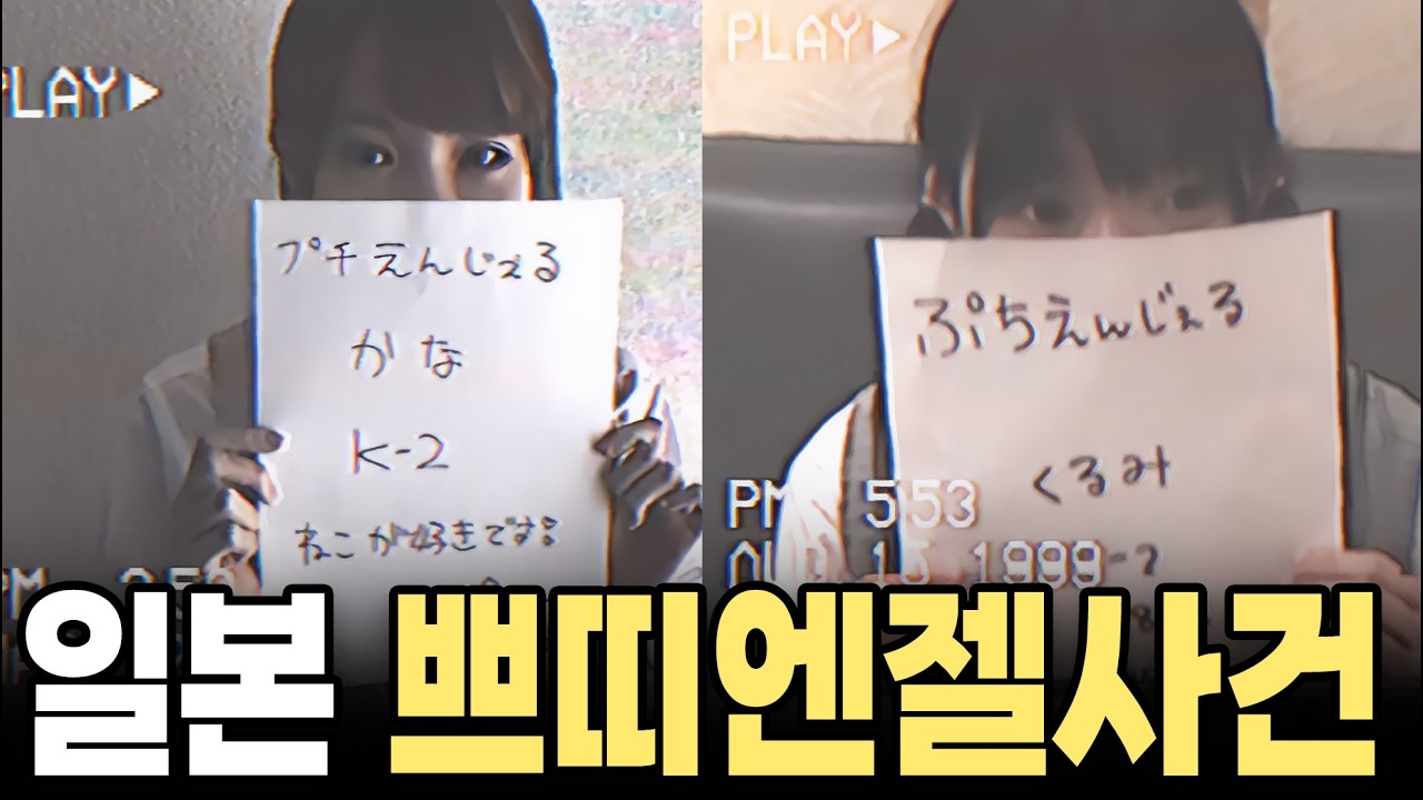 일본판 앱스틴파일 쁘띠엔젤 (토주의)