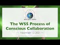 WSS - The WSS Process of Conscious Collaboration