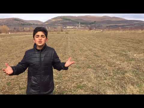 ოკუპაციის კვირეული