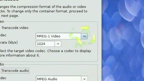 OGG/OGV to AVI/MP4 - Ubuntu Linux 8.04