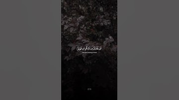 الله الذي خلقكم ثم رزقكم ثم يميتكم ثم يحييكم - سورة الروم - القارئ ياسر الدوسري
