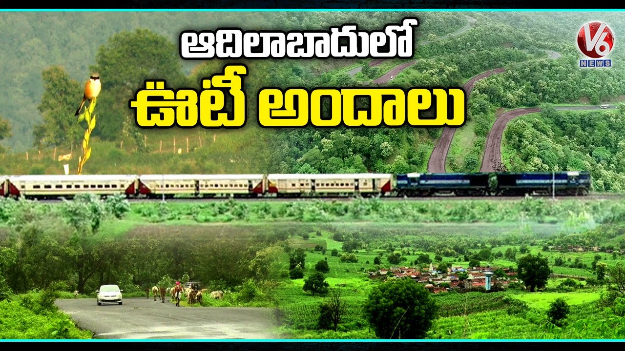 Adilabad Nature & Wildlife Areas | Special Story | V6 News