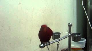 MOV02727