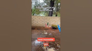 Try not to change your profile picture part 9 #shorts