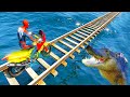 DESAFIO DE MOTOS COM HOMEM ARANHA NA PONTE DE TRILHO COM CROCODILO! Crocodile CHALLENGE