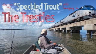 Why are the "Speckled Trout" hanging on the Trestles in Mid July?