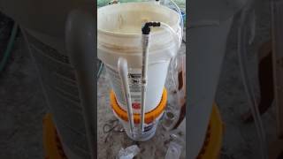 DIY Vortex Compost Tea Brewer for under 100$!  Cheap easy organic compost tea!