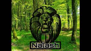 DJ NALASH X ALBERIC LOUISON _ LORENA