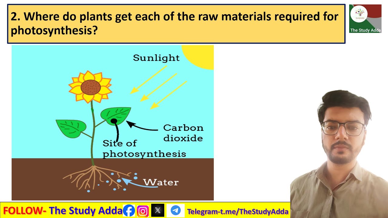2. Where do plants get each of the raw materials required for