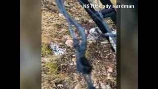 Mountain lion attacks