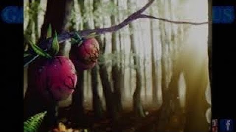 Magic 2015-The Fourth Quest 