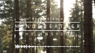 mindbreather - the insight