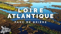 LOIRE-ATLANTIQUE - Parc de Brière | Fragments [4K]