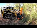 Whole trees gone in seconds asv rt135f with tmc cancela mulcher eating trees