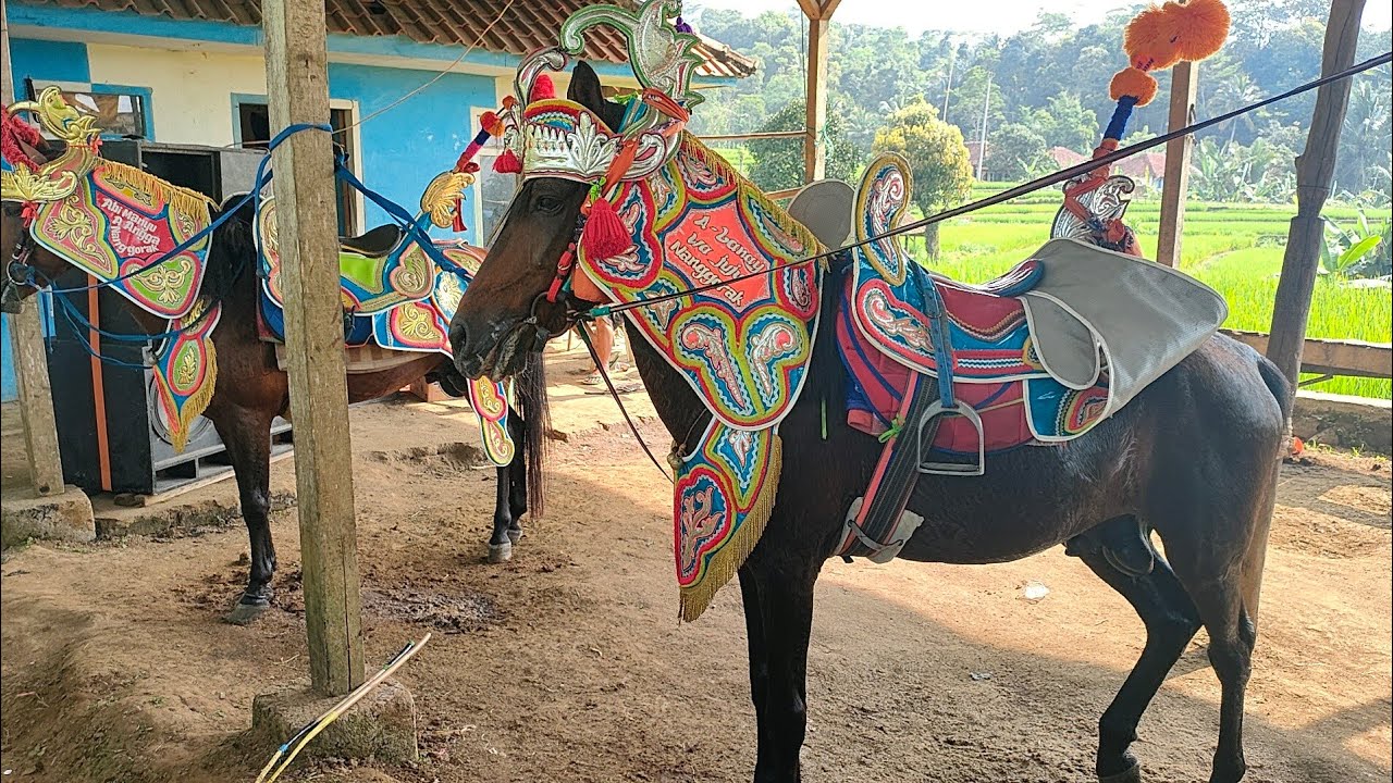 kuda renggong ngamen bermain ke bentang stable nangorak