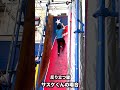 SASUKE完全制覇がどれほど難しいのかが一瞬でわかる動画#shorts