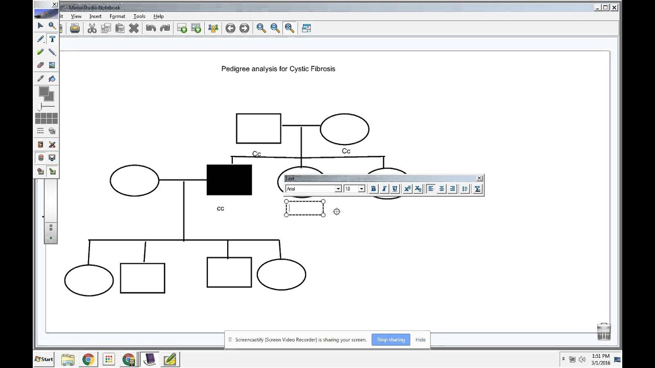 Cystic Fibrosis Pedigree Chart