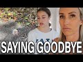 Loss of our pet | Saying Goodbye