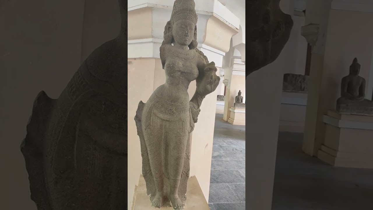 Have you seen this valli idol 🗿 ? | RD Were Here