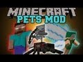 Minecraft : PETS MOD (Summon Companions, Unique Abilities) Familiars Mod Showcase