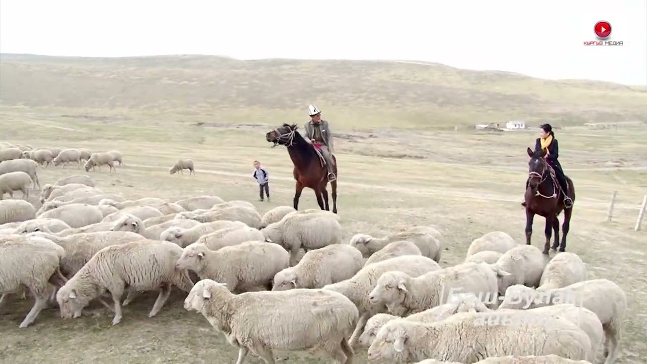 Биздин айыл  Баш Булак айылы, Кара-Суу району