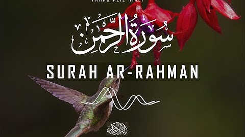 Surah Ar-Rahman (The Merciful) | Fahad Aziz Niazi |  سورة الرحمن | القارئ فهد عزيز نيازي |