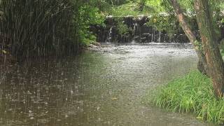 🌧️ Soothing Rain on Forest Stream & Stone Waterfall | 3 Hours FHD Rain Loop ASMR