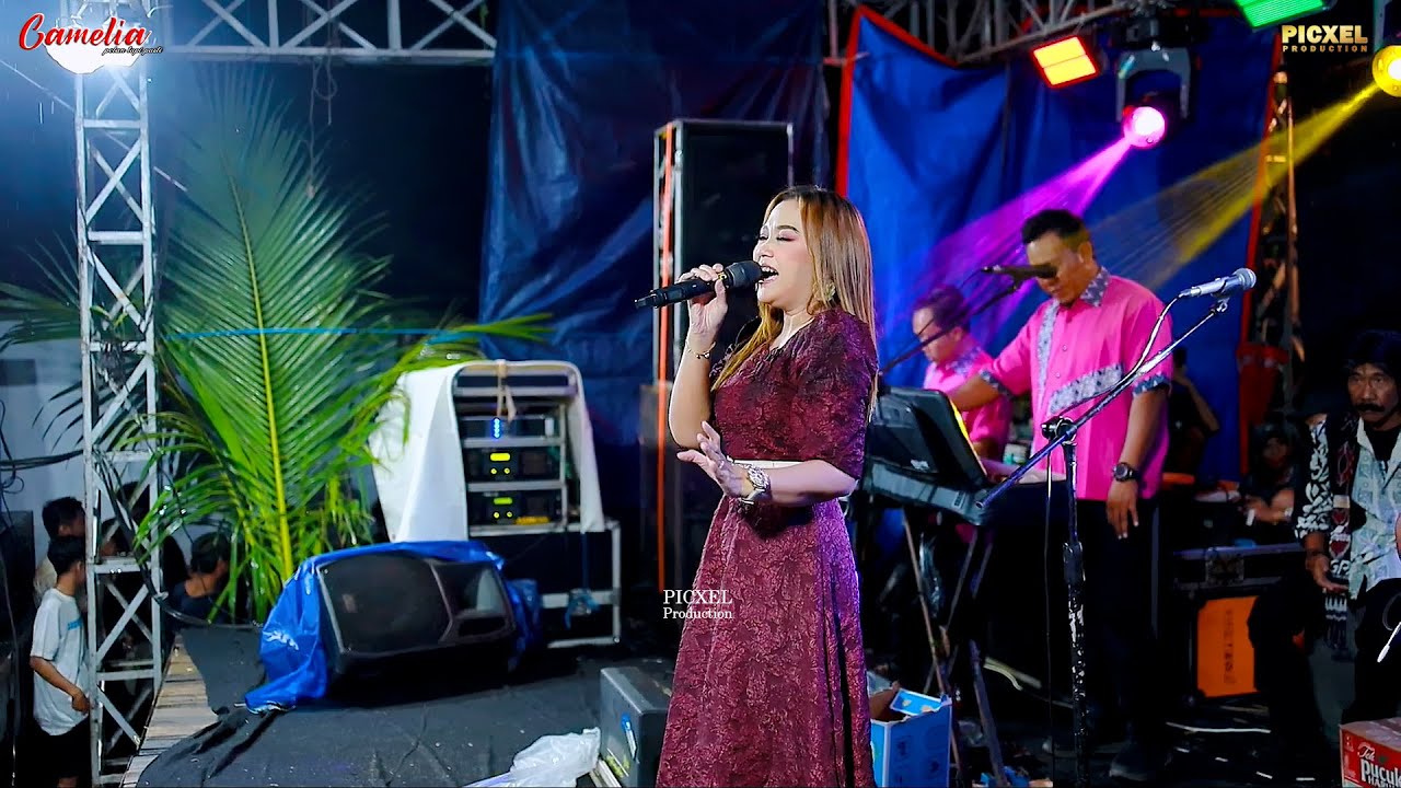 CAMELIA MUSIC - PESONA EVA AQUILA - WEDDING PARTY SYAHAL DAN MILLA - GABUS