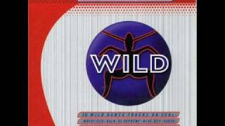 Wild FM vol.2 CD2 Track 13