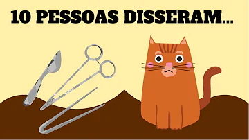 Quando castra o gato Ele ainda cruza?