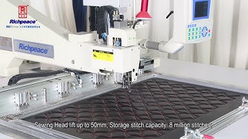 Getonagain Automatic Single Head Sewing Machine  Special for Leather