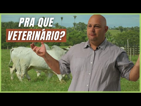 VETERINÁRIO NA FAZENDA, PRA QUÊ?? | PROF MARCELO COSTA