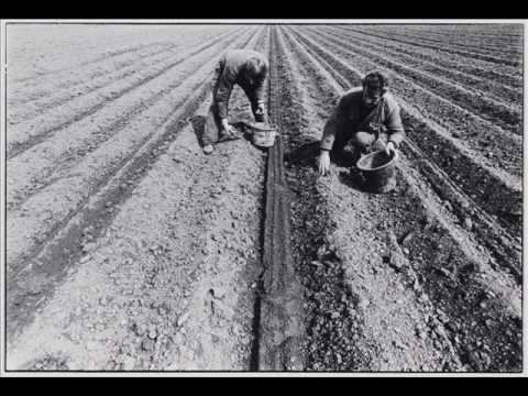 50 jaar landbouw in het Waasland - Erfgoedcel Waasland