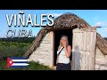 Discover Vinales, Cuba: Horseback Riding, Beaches & Tobacco Tours | A travel guide