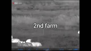 Shooting Foxes by A Hunters Tail 53 views 1 year ago 9 minutes, 40 seconds