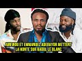 EMMANUEL ADEBAYOR ET AMEWOU METTENT LA HONTE SUR RAOUL LE BLANC