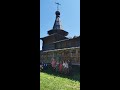 Александровская берёза, 22.6.2024