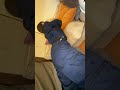 おさまりが悪くてポジション何度も変えちゃいます😓#女大工 #建設女子 #建築女子