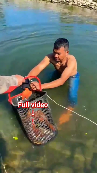 wow fishing 👇  https://youtu.be/BR3BJO_orT4?si=wSPPR_wPwgjR9Hy9.