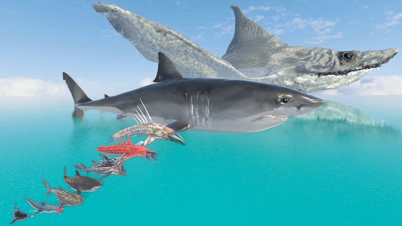 Sci Fi, Real, Fantasy, Epic, Shark Size Comparison | Who is The Biggest Shark - 3D Comparison