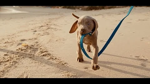 90 S La Senda Drive in Laguna Beach