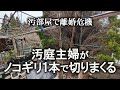 【片付け】ノコギリ一本で庭木の剪定、数年分の汚れをかき出して汚庭がスッキリ｜庭掃除｜汚部屋｜ズボラ主婦｜庭木剪定